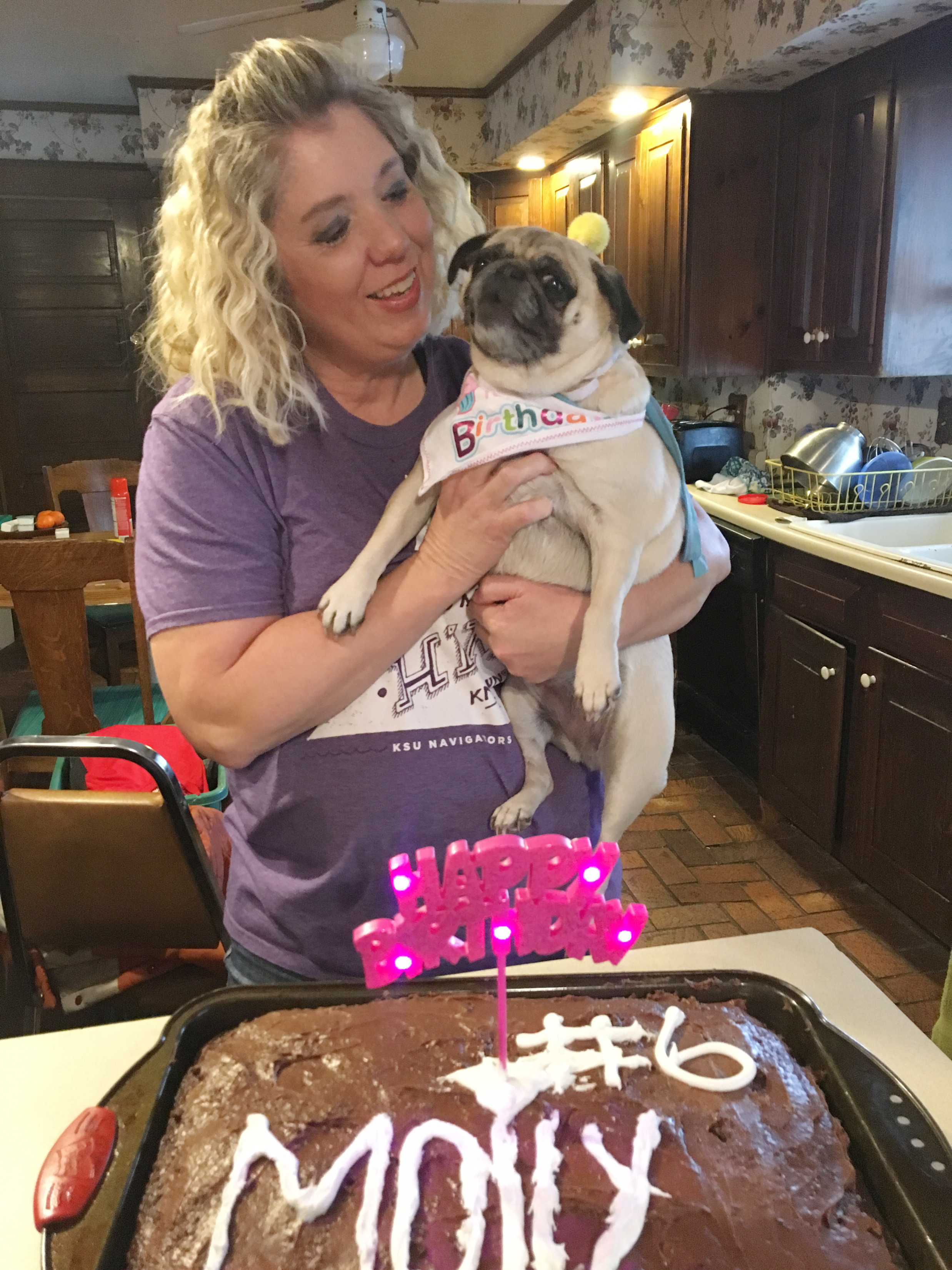 How to Plan a Birthday Party for your Pug