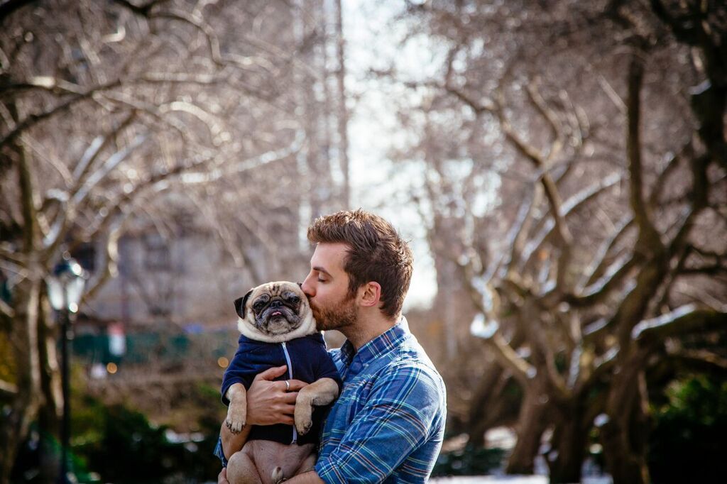 Man Does Valentine Photo Shoot with his Beloved Pug