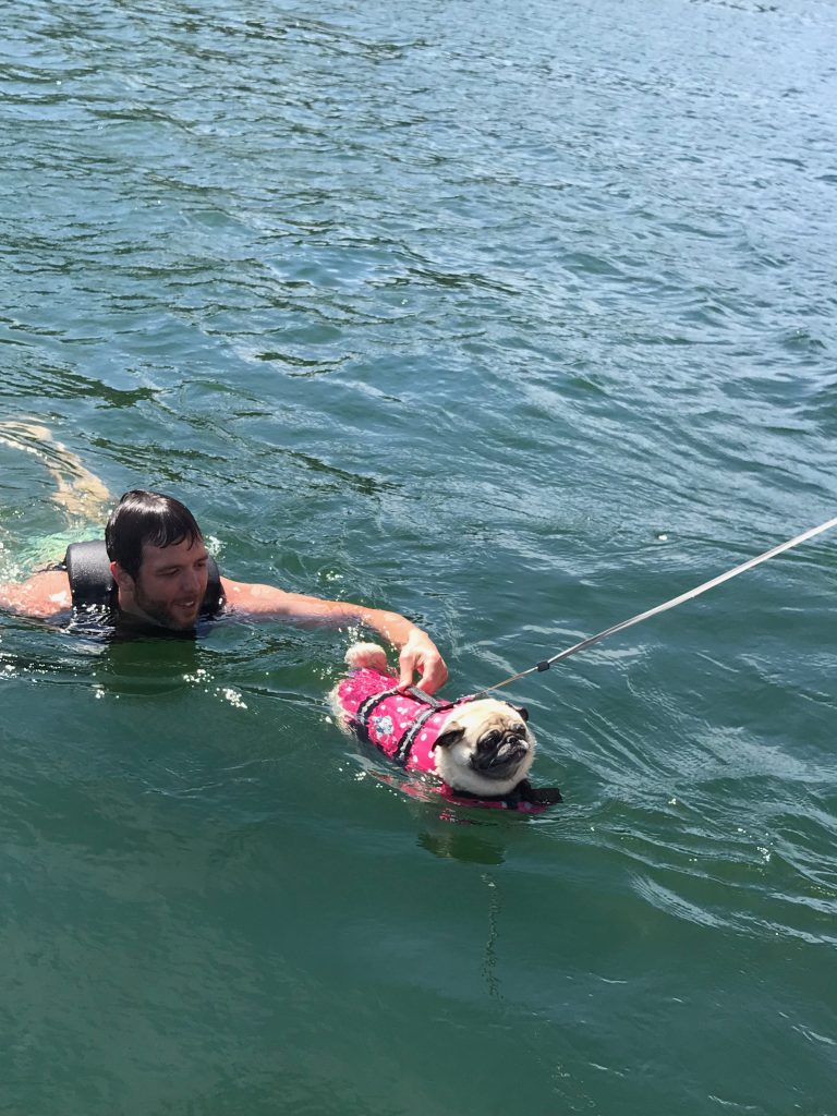 What pugs do on the "dog days of summer."