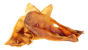 Pig Ear Treats Linked to Salmonella Contamination