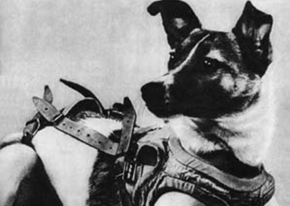 The Final Frontier: This Year Will Mark 65th Anniversary of Dog Space Orbit