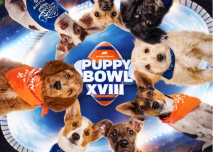 Not a Football Fan? Skip the Superbowl for Puppy Bowl XVIII