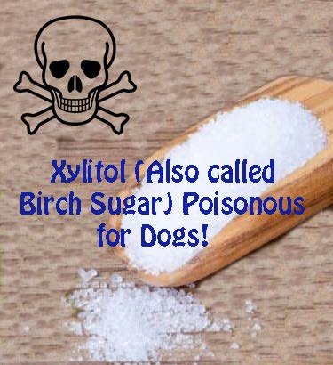 Xylitol (Also called Birch Sugar) Poisonous for Dogs